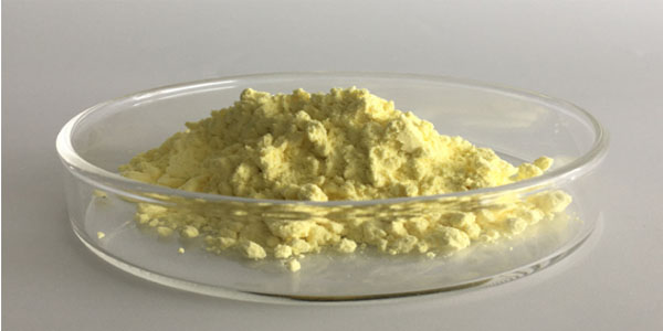 Extrato de Kava
